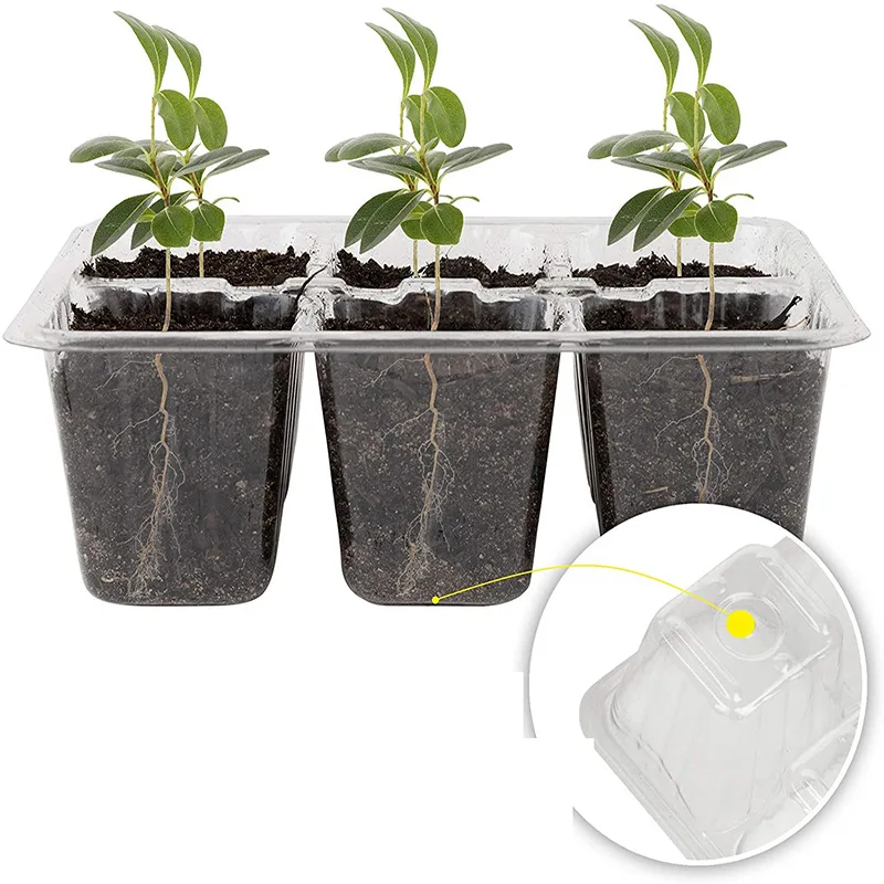 

10 Pcs Seed Trays 12 Cells Insert Hot House Seed Starter Trays Kit For Garden Seedling Tray With Humidity Adjustable Dome
