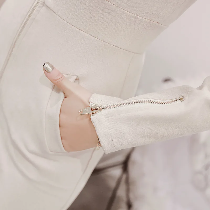 

New Autumn Woman Clothes Elegant Dress Zipper Long Sleeve Solid Color Stand-up collar Dresses Fashion Fall 2020 Women Clothing