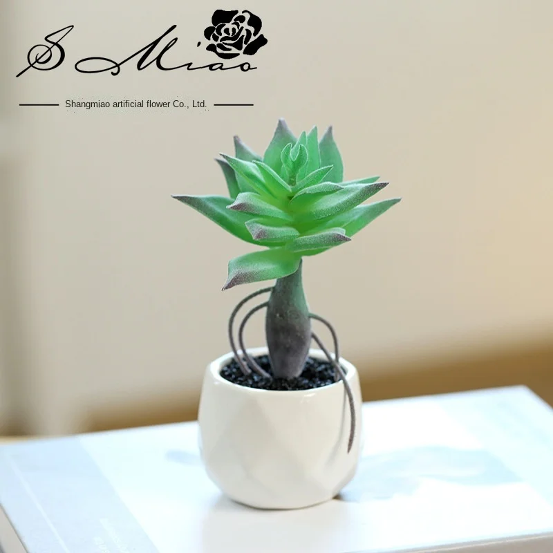 

Новый маленький горшок мясной горшок, креативное маленькое украшение, искусственный цветок, пластиковое зеленое растение, бонсай