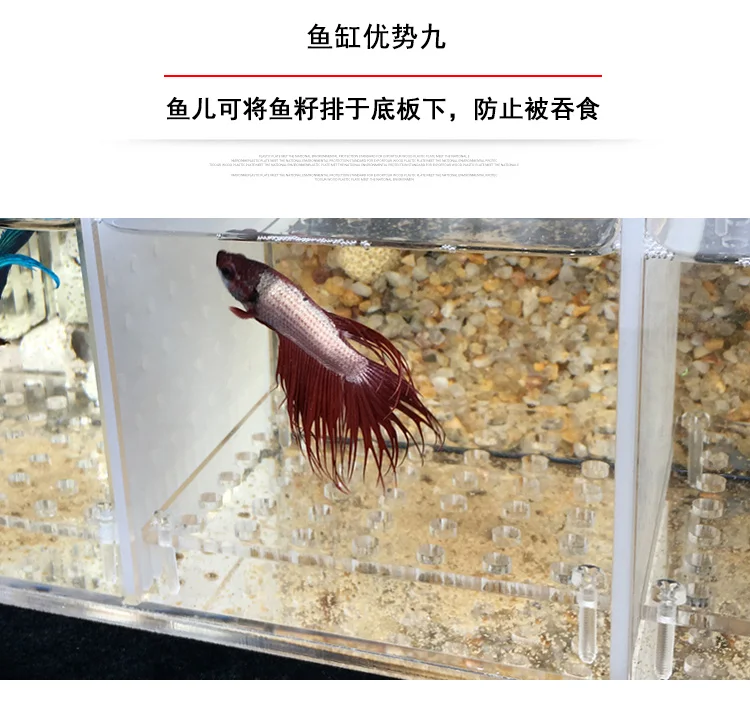 Betta аквариум Гуппи разведение инкубации изолирующая коробка акриловая специальная группа ряд цилиндр живой Рабочий стол экологическое творчество