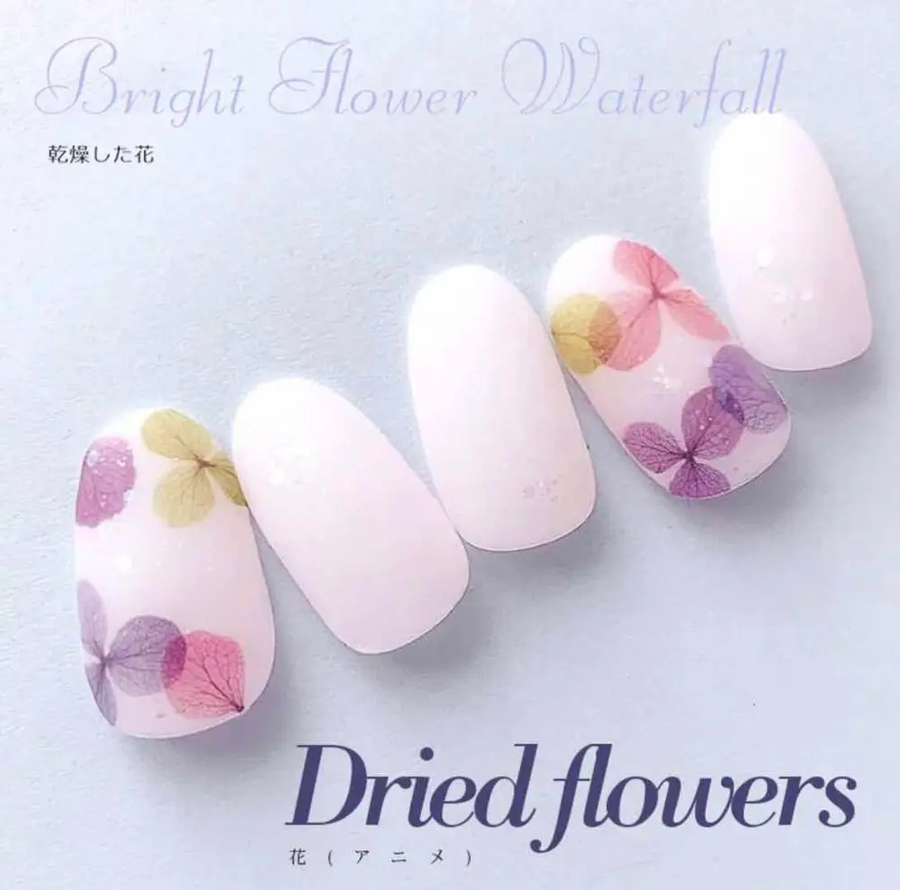 2020 3D Новые маленькие свежие полупрозрачные сухие цветочные растения для ногтей