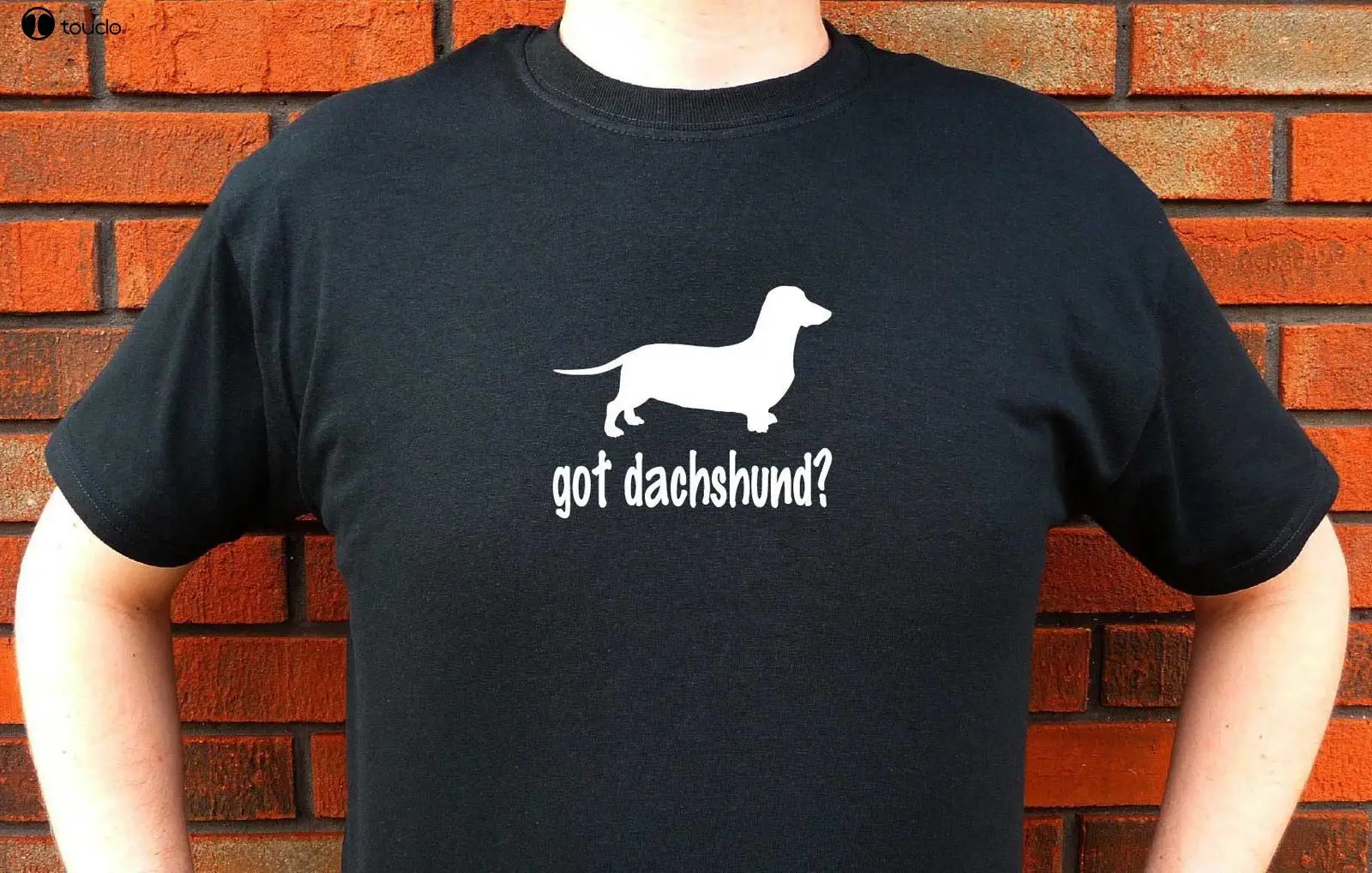 Новинка 2019 Мужская футболка футболки в стиле панк получили таксу? Хлопковая с