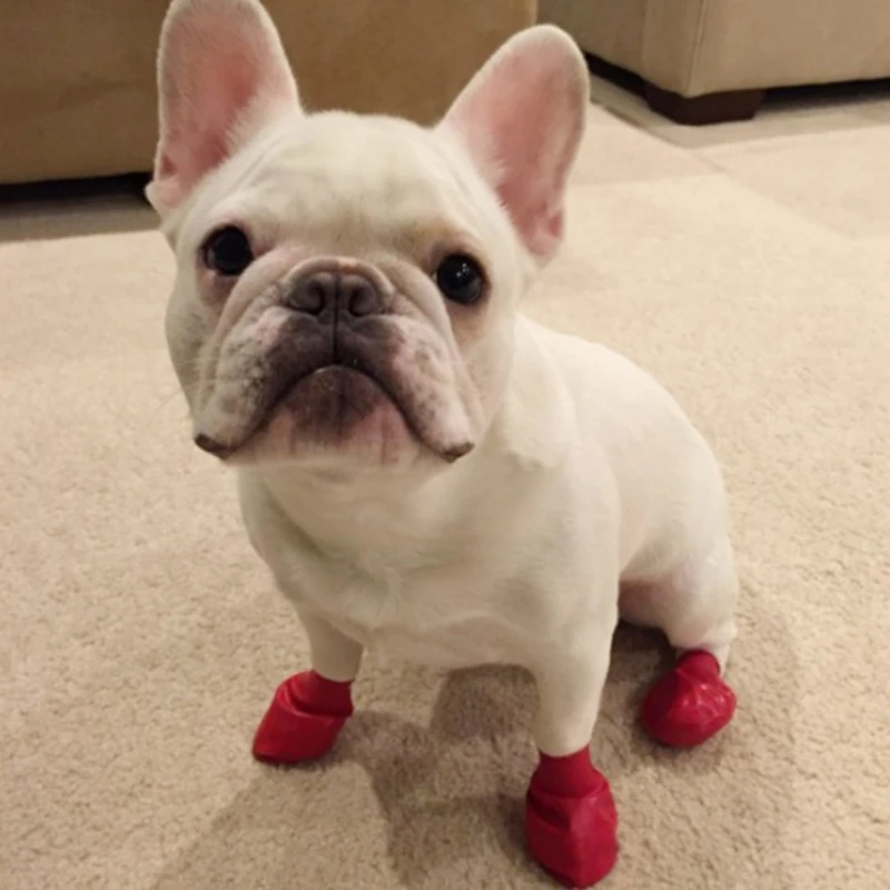 

Pets Boots Waterproof Rubber Rain Shoes Non Slip Outdoor Dog Puppy Candy Color