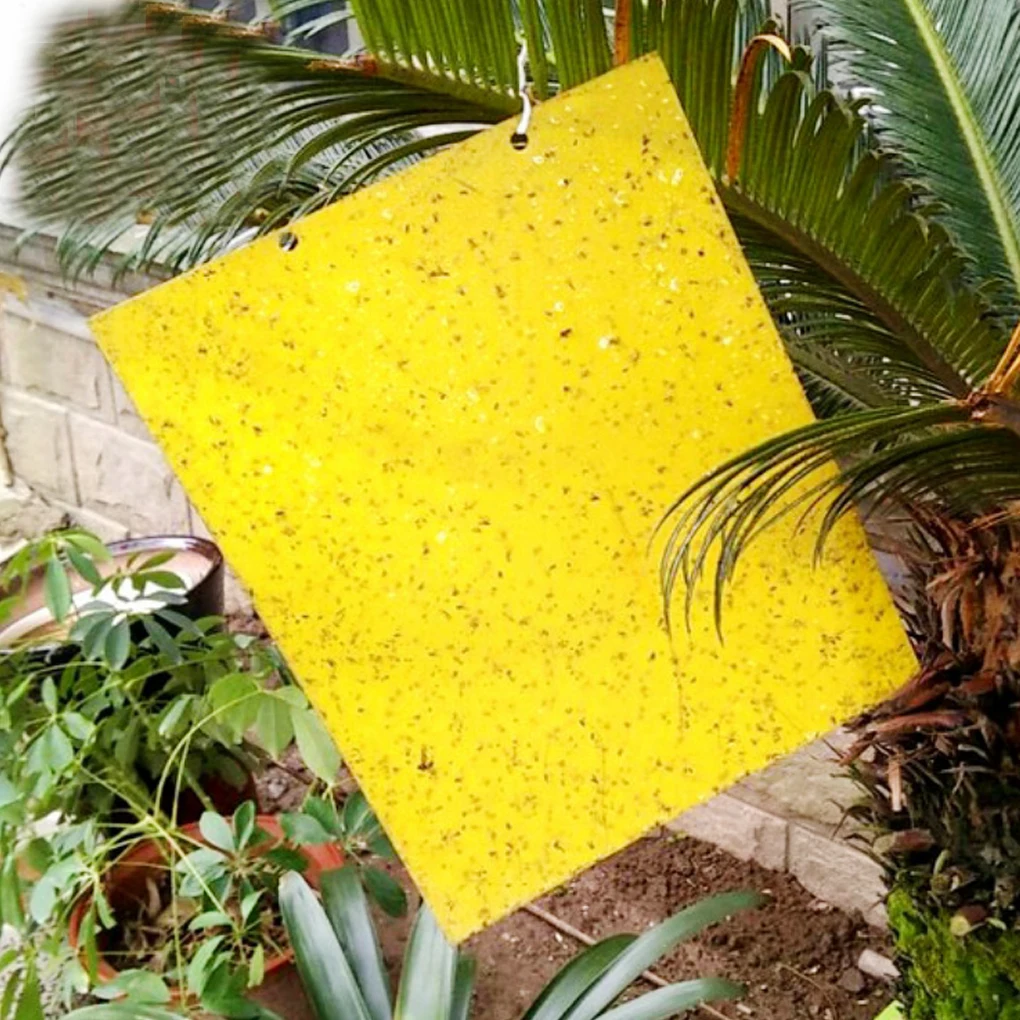 20 шт./компл. сильный ошибки липкая ловушка для небольших насекомых ловли Бумага