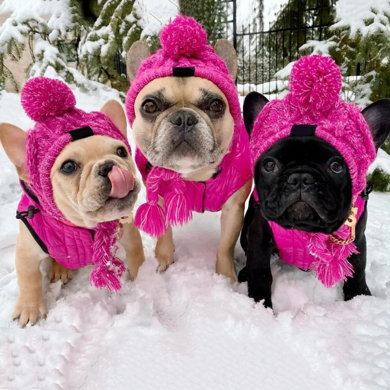

Winter Warm Cat Dog Hats Windproof Knitting French Bulldog Pet Hat for Dogs Cats Hat Fluffy Ball Puppy Accessories Pink Grey