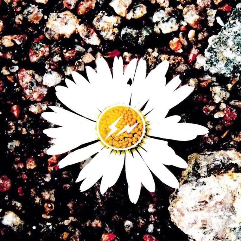 Peaceminusone солнцезащитные цветочные толстовки GD Daisy с принтом Peaceminusone толстовки для мужчин и женщин оверсайз Толстовка молния