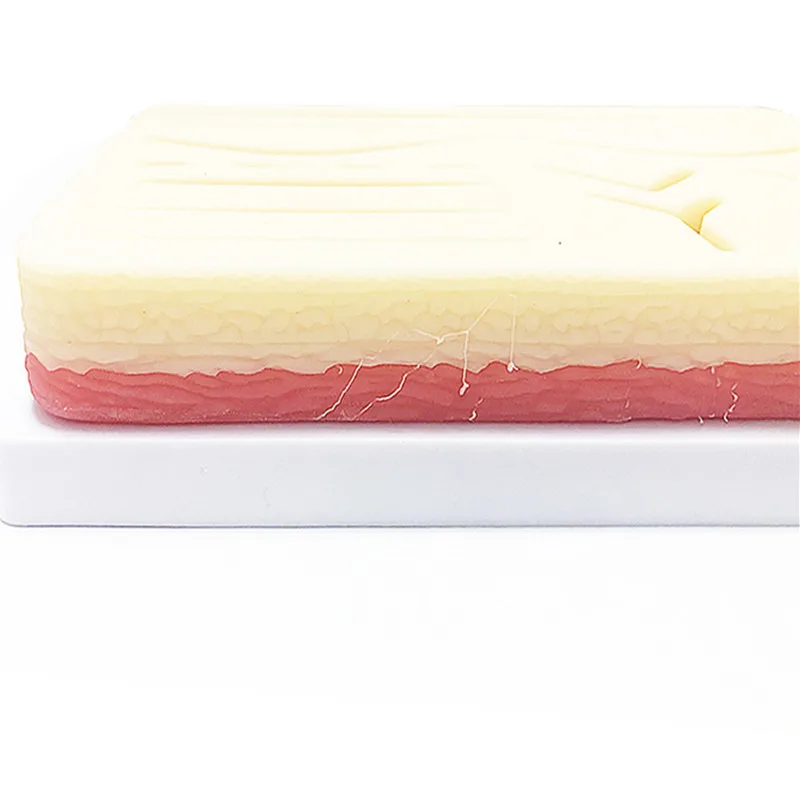 

Medical Science Teaching Resources Durable Use Skin Silicone Suture Training Pad model with Cut Wound