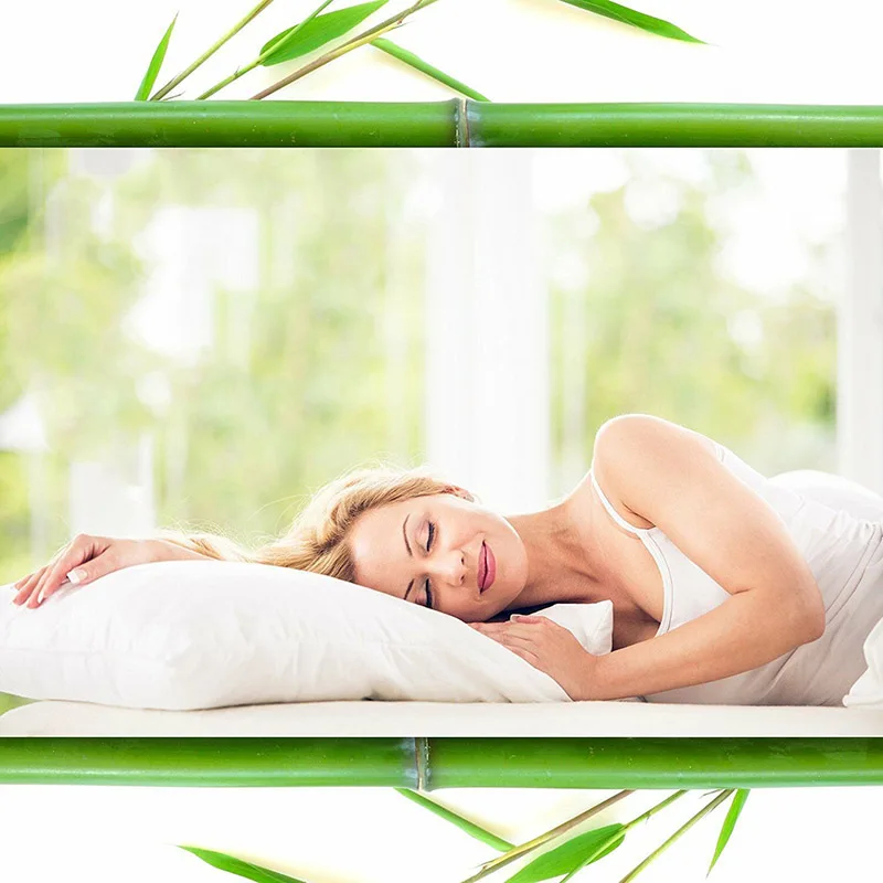 

Bamboo Shredded Velvet Pillow with Hypoallergenic Cover Soft for Home Sleeping