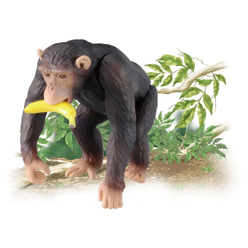 S01 Takara Tomy ANIA Animal Advanture AS-14 Chimpanzee с бананом дикие фигурки ABS детские развивающие