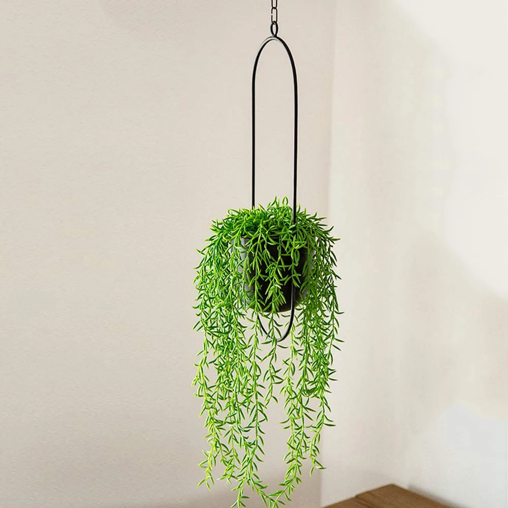 

Plant Hanging Basket Iron Wall Planter Green Radish Fleshy Decorative Home Multi Functional 2021 New Wrought Indoor Flower Pot