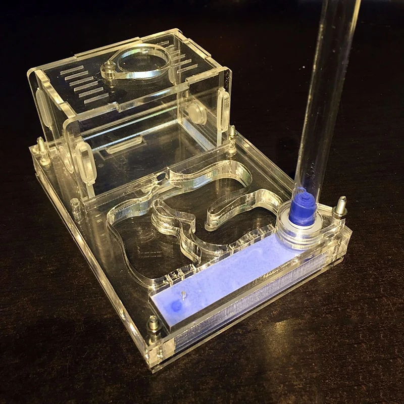 Акриловое гнездо для альпинизма виллы муравьев площадка активного отдыха с