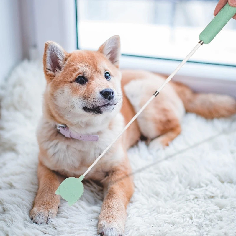 

Love beat training dog stick training dog beat dog stick dog dog training device golden retriever equipment dog training device,