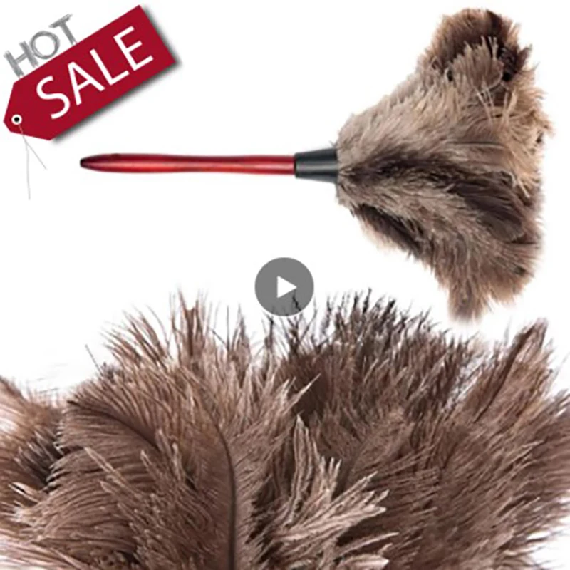 Ostrich Duster With Long Handle Brush Electrostatic Dust Hou