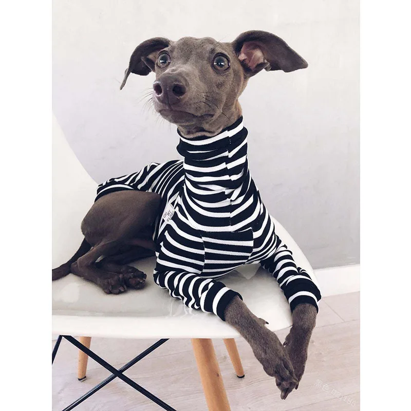 

New dog clothing high collar striped bipedal fashion warm pet clothes