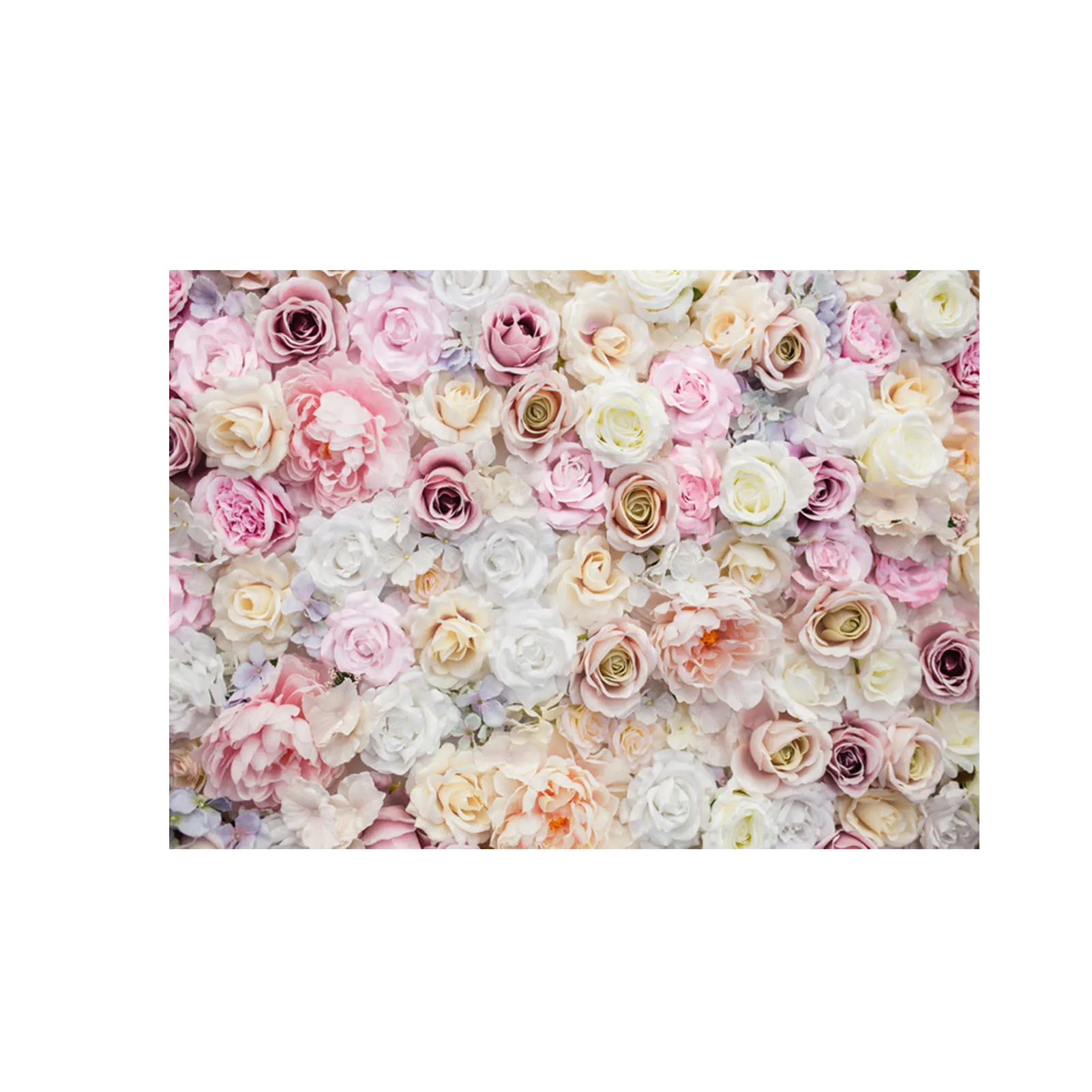 Купальная занавеска С день рождения Свадебный душ для фотографов Вечерние