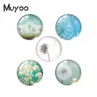2019 Новый Одуванчик стеклянный купольный кабошон художественные украшения ручной работы семена одуванчиков стеклянные кабошоны