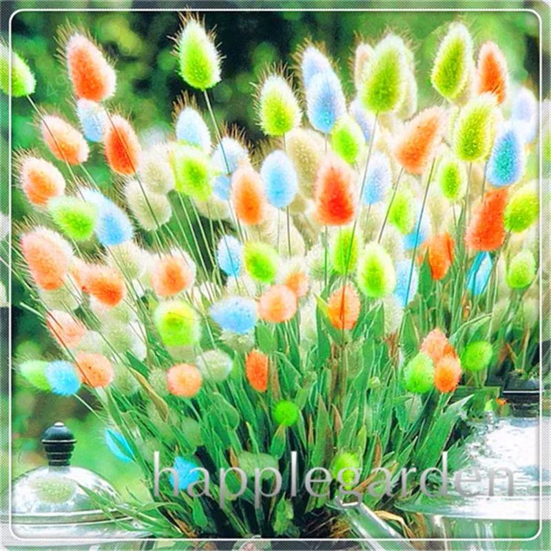 Трава с кроличьим хвостом 100 шт.|Сувениры для вечеринок| |