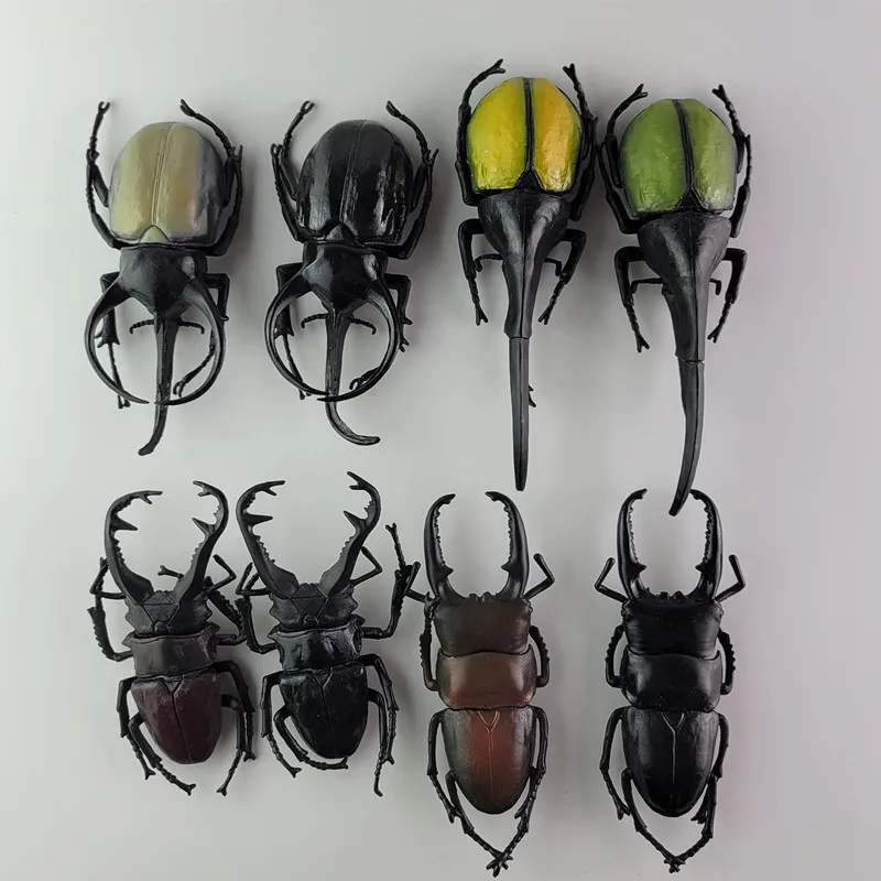 

Bandai Anime Insect Series Figures Dynastes Hercules Chalcosoma Atlas Lucanidae D. T. Palawanicus Arthropod Animal Model Toy