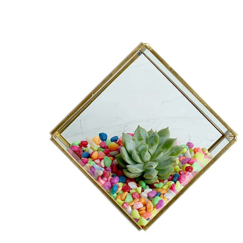 Современный из прозрачного стекла геометрический микро Ландшафтный Террариум
