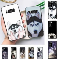 alaskan huskies dog phone case for samsung galaxy note10pro note20ultra note20 note10lite m30s capa