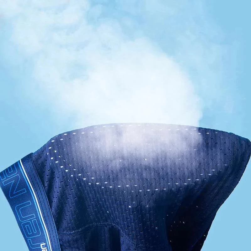 Men Underwear Ice Silk Boxer Men Underpants Comfortable Breathable Men's Panties Underwear Solid Mesh Boxershorts Man Boxers