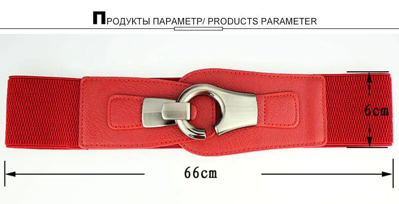 AKTRIS леди дворец ретро широкий пояс с пряжкой пальто Декоративные Женские простой дизайн широкий пояс для женщин аксессуары FCO220
