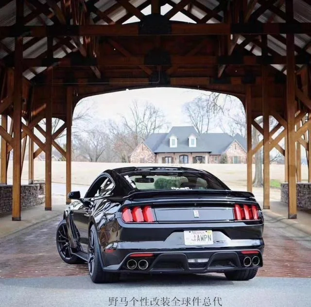 

Подходит для Ford 15-17 Mustang Gt350, четыре внешних губы, задний бампер, большой объемный переменный ток