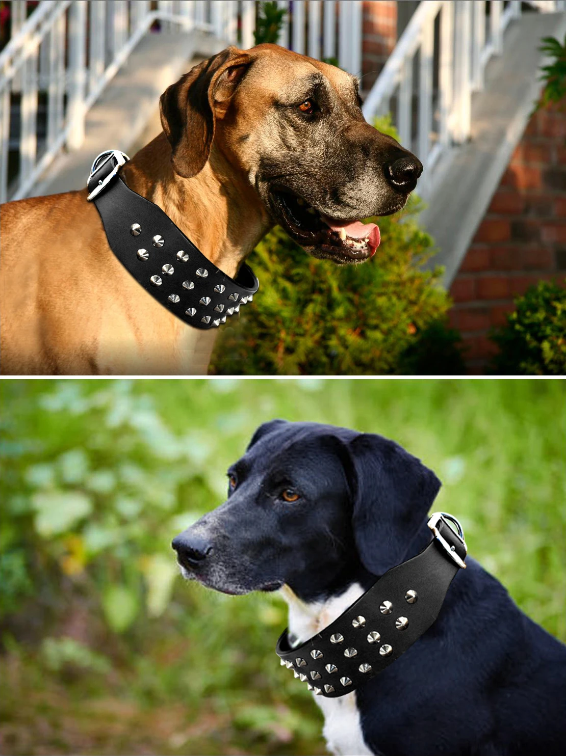 Кожаный ошейник для собак с заклепками прочный коричневый маленького среднего и