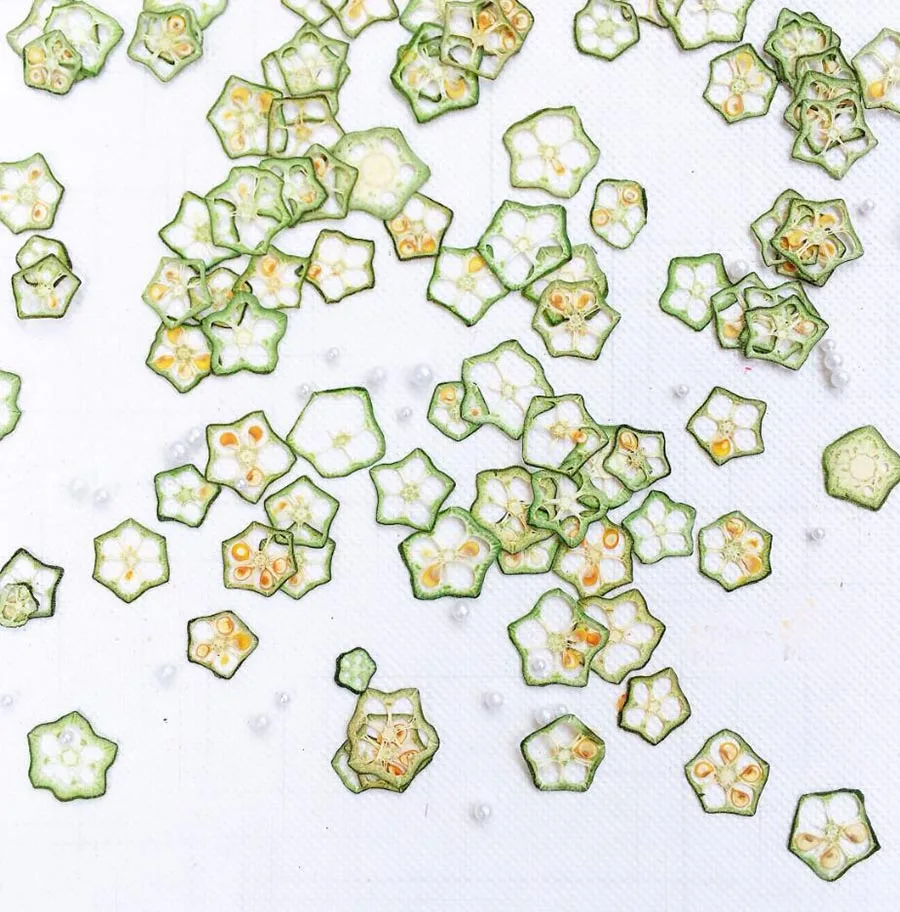 

100pcs Pressed Dried Okra Slices Fruit Plant Herbarium For Jewelry Postcard Invitation Card Phone Case Bookmark Making DIY