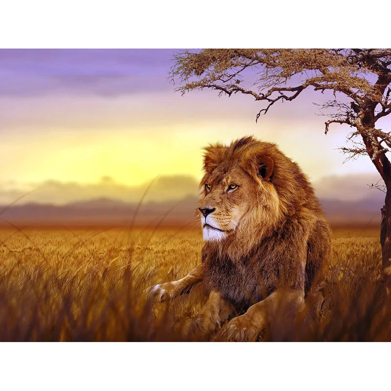 

Full square diamond 5D diamond embroidery Lion under the sunset diamond painting cross stitch rhinestone mosaic decoration YY