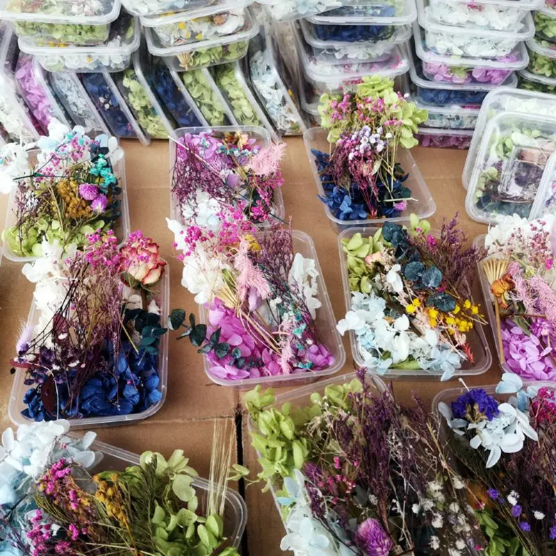 

1 Box Real Mix Dried Flowers for Resin Jewellery Dry Plants Pressed Flowers Making Craft DIY Accessories Home Use