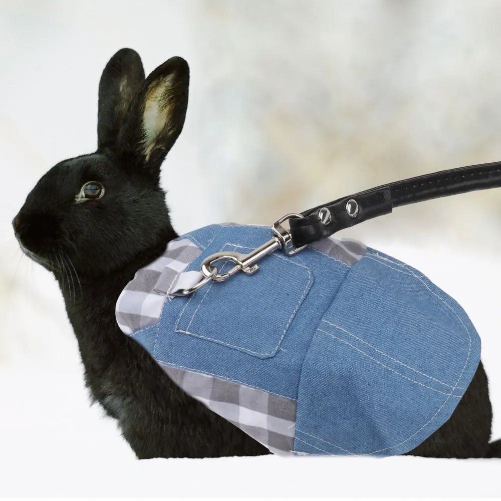 

1 Set of Adorable Rabbit Clothes Traction Rope Pet Outdoor Clothes Accessory