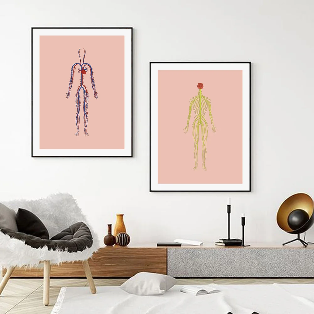 Абстрактная Анатомия человеческого тела мышцы настенное искусство холст
