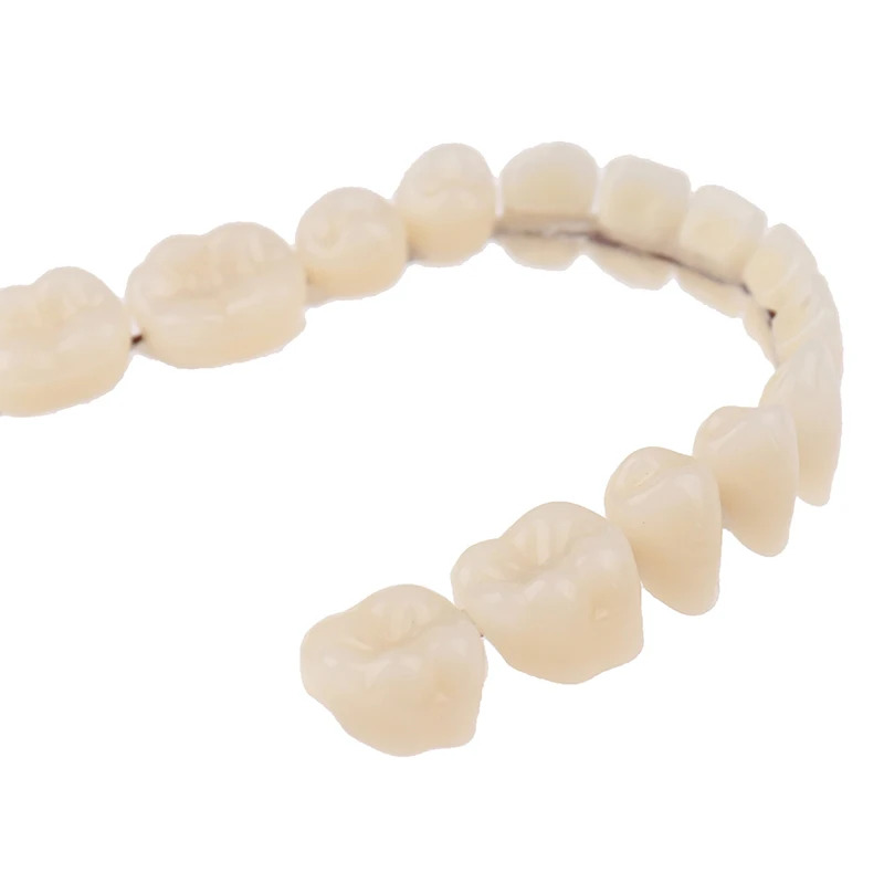 

Useful Resin Teeth Denture Upper Lower A2 28Pcs / Set Artificial Contoured Denture Tool