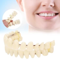 10pcs resin denture dental teeth teaching model dental supply accessory upper lower shade dentition oral care material whitening