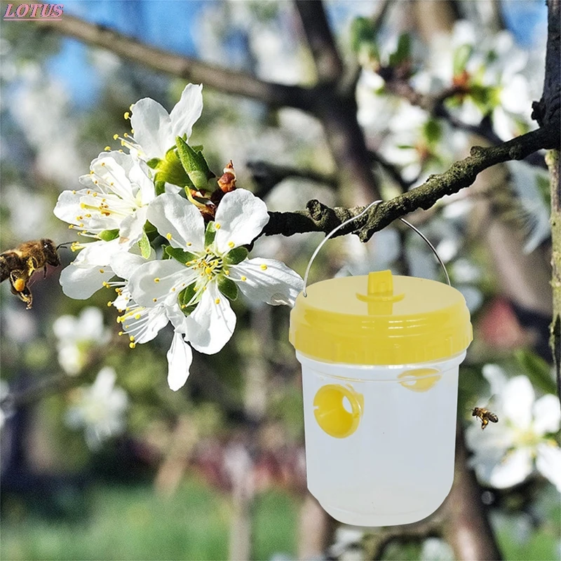 

Fly Wasp Trap Fruit Flies Insect Bug Hanging Tree Honey Catcher Killer Bee Insect Reject Pest Control Tool Insect Trap