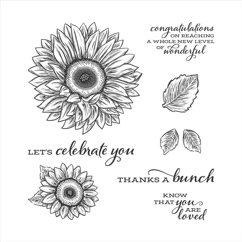 

2021 New Clear Stamps And Metal Cutting Dies Making Sun Flower Embossing Frame Card Set Craft Scrapbooking No Dies