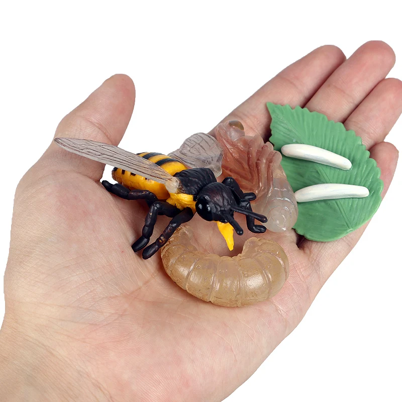 

Oenux New Insect Animals Model Simulation Bee Growth Cycle Honeycomb Action Figures Miniature Educational PVC Cute Kids Toys