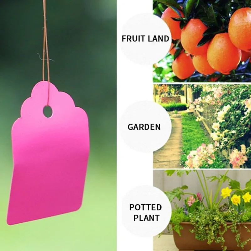

100PCS 35x25MM Hanging Plant Markers Tag DIY Seedlings Nursery Labels Hang Garden Flowers Pots PVC Tags Garden Tools