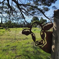 metal farm peeping cow art garden statues iron cow head decoration outdoor garden backyard lawn stakes peeping cow