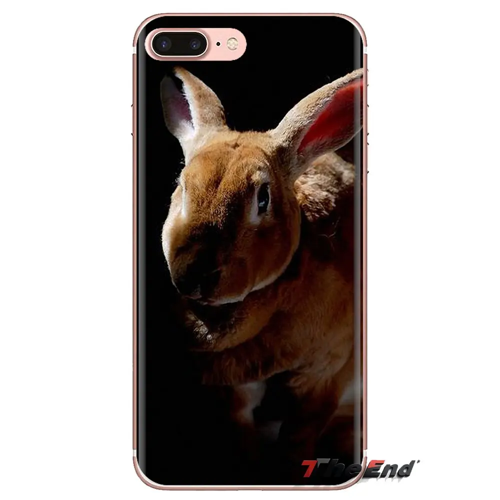 Для samsung Galaxy S2 S3 S4 S5 MINI S6 S7 edge S8 S9 Plus Note 2 3 4 5 8 Coque Fundas мягкий чехол Милый мистер коала