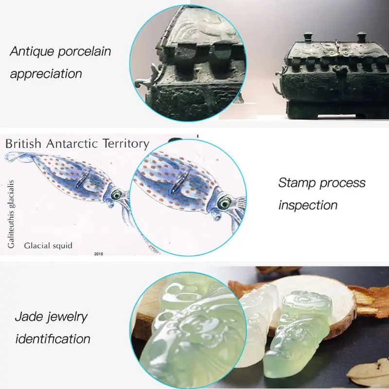 

1000X WIFI Digital Microscope 2MP 1080P Camera Magnifier Smartphone Microscopes