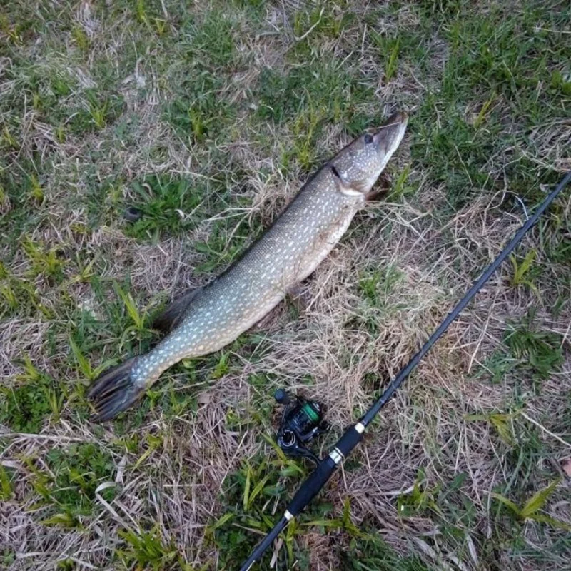 

New Style Lure Rod Second Generation Straight Handle Grips Extendable Short Section Fishing Rod 1.8/2.1/2.4/2.7 Lure Rod