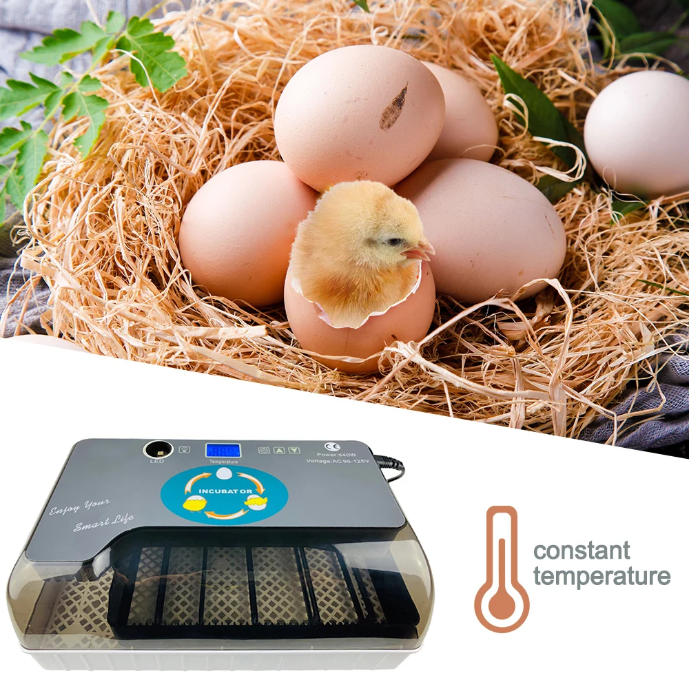 Автоматический инкубатор для куриных яиц Брудер на 12 перепелиных