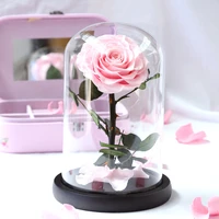 new beauty and the beast roses preserved flowers red eternal rose flower in glass dome valentine gift for girlfriend dropshiping