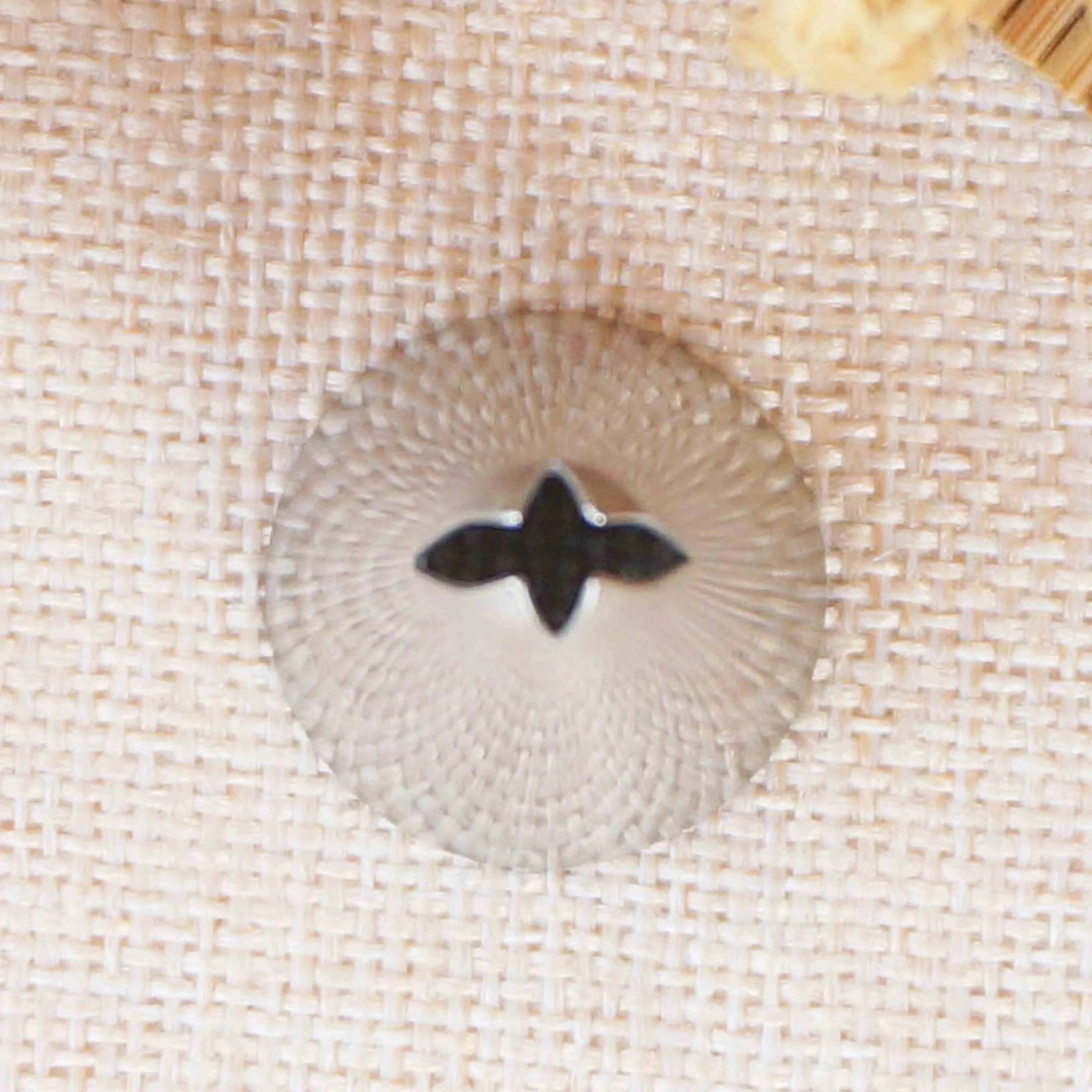 #69 насадки для глазировки кондитерские трубка письма кексов декоративный