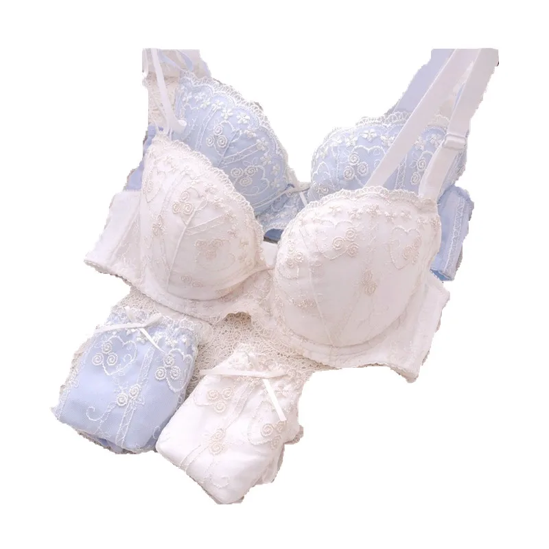 Комплект нижнего белья женский кружевной бюстгальтер с вышивкой Трусы-брифы