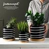 Изображение товара 5