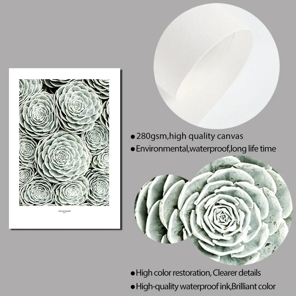 Плакат с суккулентами настенное искусство природный пейзаж холст живопись