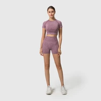women seamless yoga set fitness crop top short sleeve shirts sports shorts workout clothes for women gym sets yoga suits